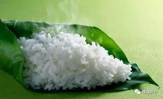 魚臺(tái)大米品牌崛起 谷物種植的科學(xué)與文化之道