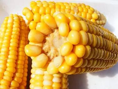煮玉米時加點它，味道特別棒 營養升級的健康吃法